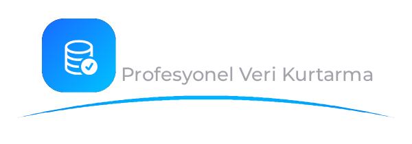 DataKurtar Profesyonel Veri Kurtarma